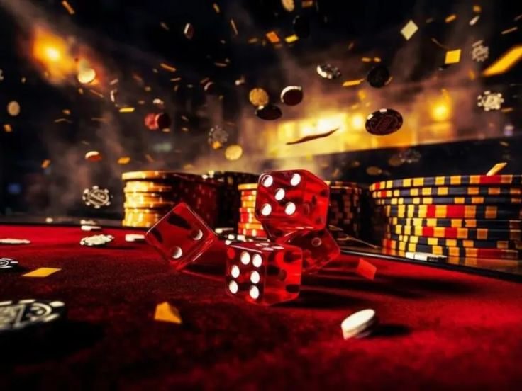 8855bet